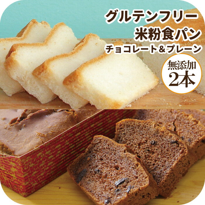 常温1カ月 無添加 グルテンフリー米粉食パン お試し2種セット チョコレート ＆ プレーン 2本 天 ...