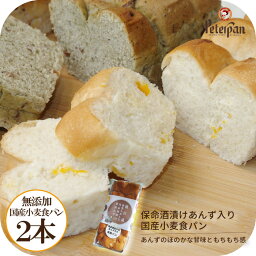 ピーターパン 食パン 常温保存 約1カ月 保命酒漬けあんず入り米粉食パン 2本 米粉パン 米粉 パン 食パン 無添加 天然酵母 ロングライフ 朝食 おやつ グルメ 冷凍 常温 日持ち 長期保存 お取り寄せ ドライフルーツ 保存食 非常食 プレゼント ギフト