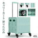 折りたたみ キャリーカート ショッピングカート 折りたたみキャリーカート キャリー 台車 キャリーカート 折りたたみ ショッピングカート キャンプ キャスター付...