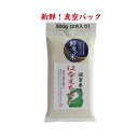 新入荷 はなえちぜん 鮮度の米 300g 令和6年産 真空パック お米 白米 米 美味しい おこめ お試し ギフト お祝い 内祝い 引越し挨拶 誕生日プレゼント...