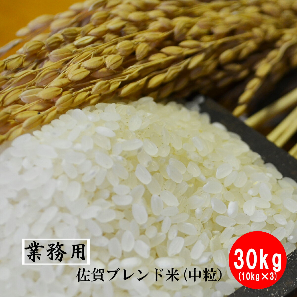 九州佐賀県産ブレンド米 30kg（10kg×3）（送料無料）米　お米