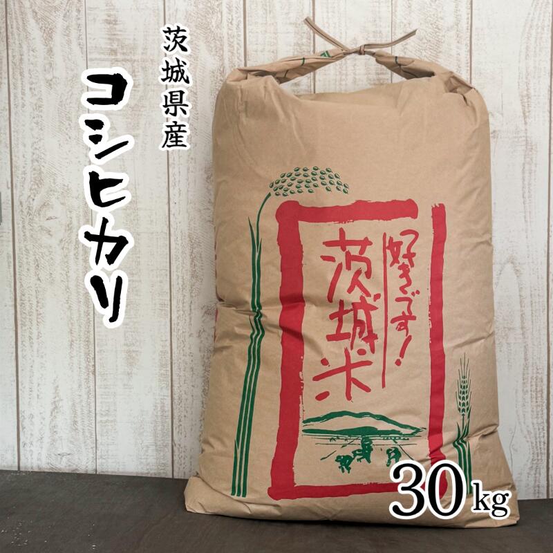 アート用品 レア スーザン・フィリップス ポスター