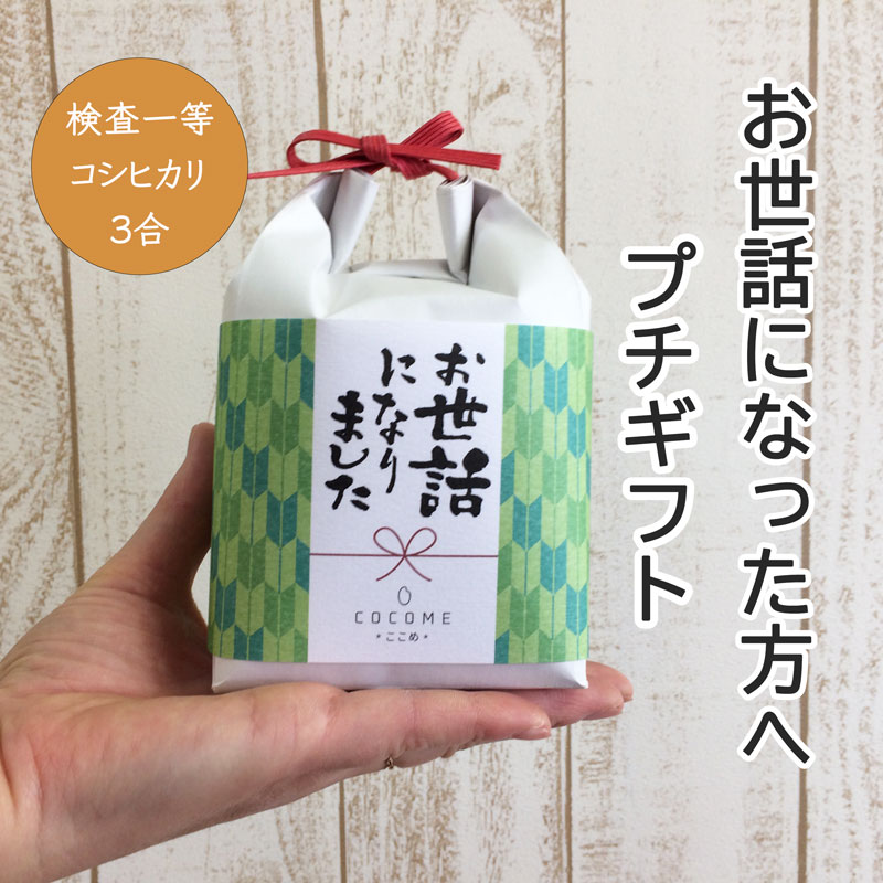 プチギフト 米 ここめ お世話になりました 新米 令和3年産 コシヒカリ こしひかり お米 あいさつ米 ご挨拶 引っ越し 挨拶 ギフト 引越 し 転勤 転職 退職 感謝 メッセージ 入り　会社　急ぎ 早い 引っ越しの品　手土産　御礼 近所 粗品 ノベルティ 感謝の気持ち