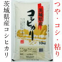 【新米】茨城県産コシヒカリ　10kg　令和3年度産