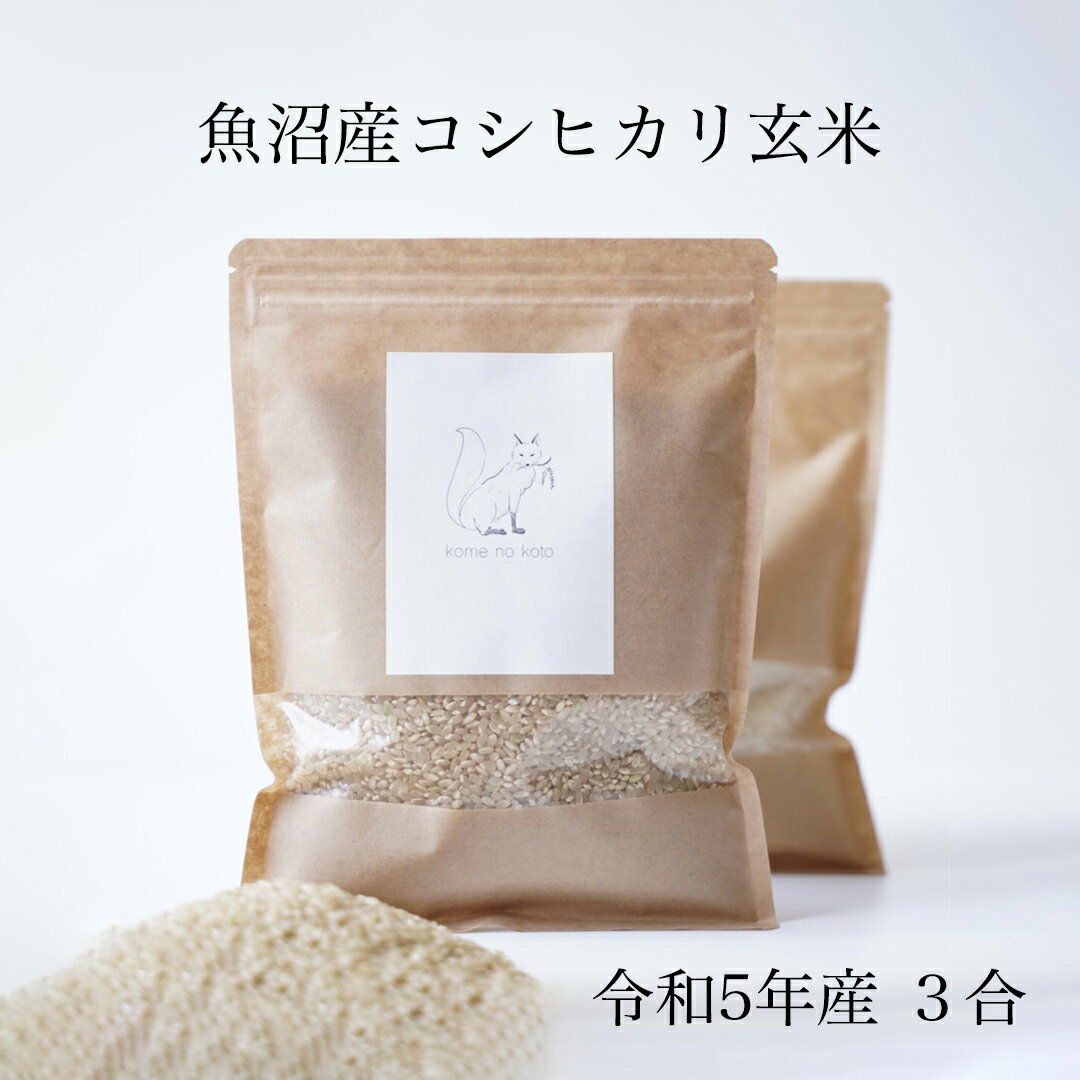 お試し 玄米 3合 450g 特A受賞 新米 令和5年産 魚沼産コシヒカリ 送料無料 コメノコト komenokoto 新生活 お祝い 内祝い 魚沼産 こしひかり ブランド米 1000円ポッキリ プレゼント ギフト 贈答用 贈答品 贈り物 粗品 縁起がいい 出産祝い 産休 結婚 出産 げんまい