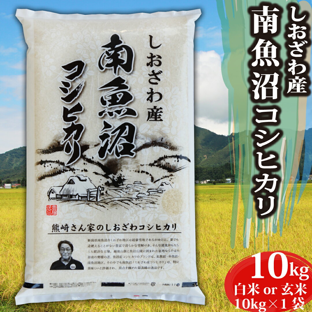 米 令和5年コシヒカリ 新潟県南 魚沼しおざわ産 コシヒカリ 玄米 10kg（10kg×1袋） 精米無料 出荷当日精米 | 単一原料米 米 おこめ お米 玄米 白米 10キロ 魚沼産 塩沢 コシヒカリ100% 匠のお米 こだわり つきたて 味自慢 格安 送料無料 【12時までのご注文は当日出荷】