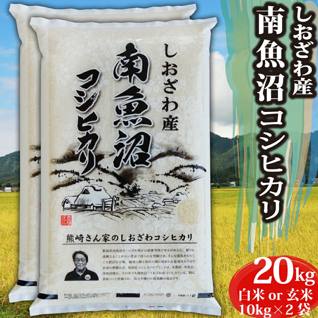 米 令和5年 コシヒカリ 新潟県 南魚沼しおざわ産 コシヒカ