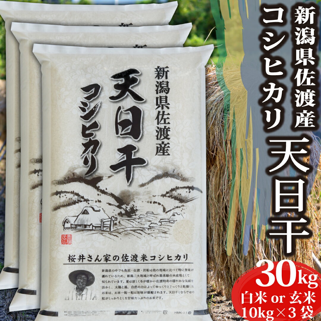 米 令和5年産 コシヒカリ 新潟県 佐渡産 白米 玄米 30kg 特A 天日干し お米 30キロ 令和5年 新潟県産コシヒカリ 令和5年産コシヒカリ こしひかり 新潟 新潟産 精米 小分け ブランド おこめ こめ お試し ギフト プレゼント 内祝い 贈り物 プチギフト 一人暮らし 送料無料