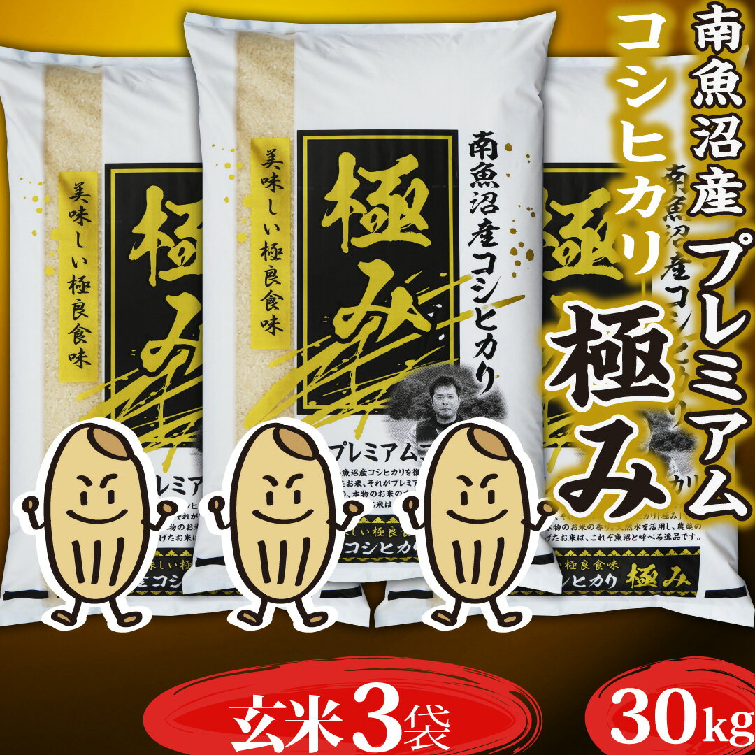 楽天市場】魚沼産 コシヒカリ 300g(総重量(米/穀物)30.0 楽天市場】魚沼産 コシヒカリ 300g(総重量(米/穀物)30.0