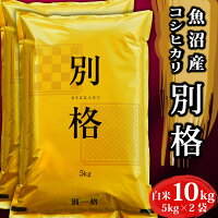 米 10kg 令和5年産 コシヒカリ 別格 新潟県 魚沼産 お米 白米 10キロ 令和5年 魚沼...