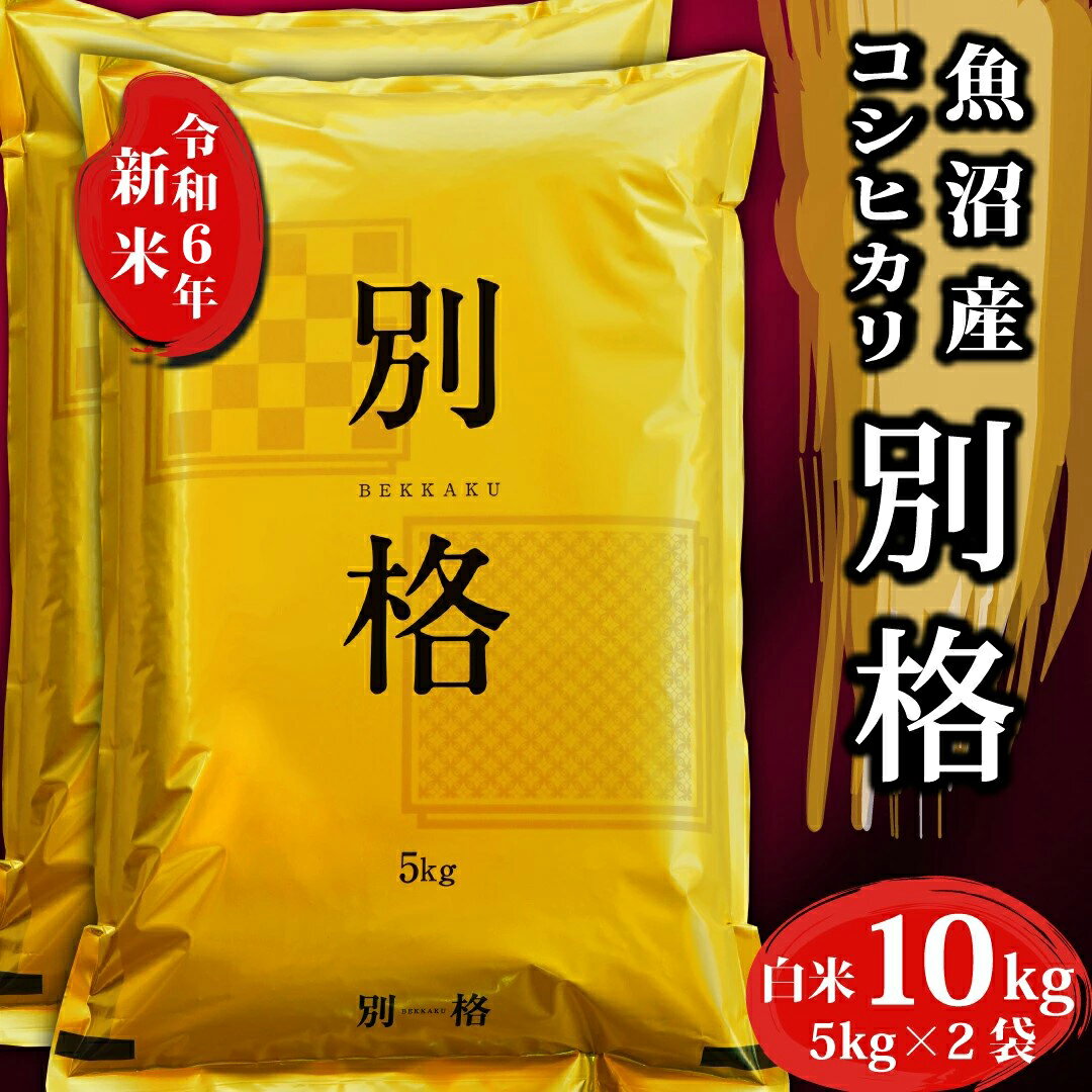令和6年新米☆純天日干し茨城県産コシヒカリ25キロ