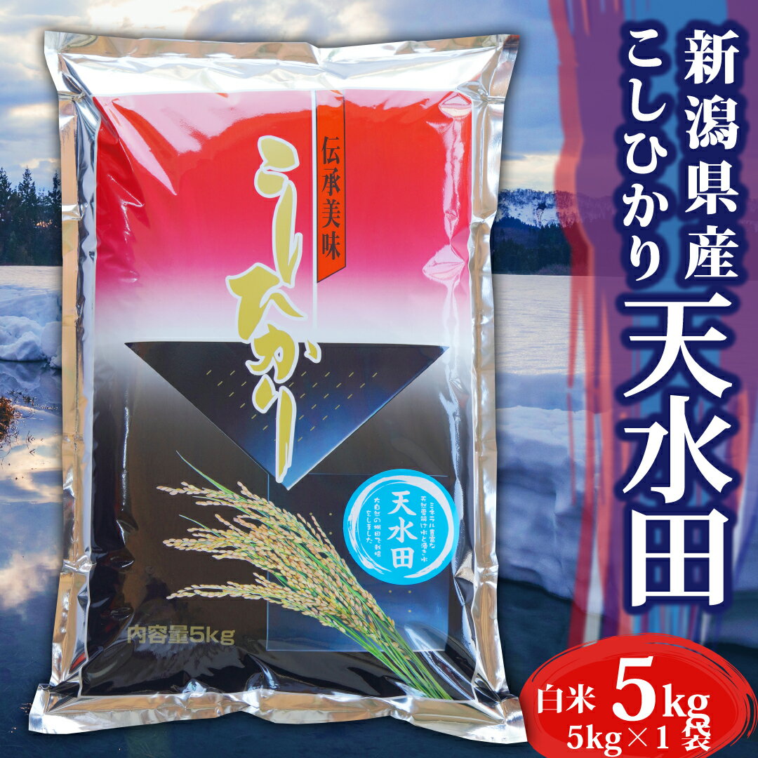 米 5kg 令和5年産 コシヒカリ 新潟県産 天水田 棚田米 お米 白米 5キロ 令和5年 新潟県産コシヒカリ 令和5年産コシヒカリ こしひかり 新潟 新潟産 精米 ブランド おこめ こめ お試し ギフト プレゼント 内祝い 贈り物 プチギフト 一人暮らし 送料無料