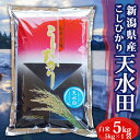 米 5kg 令和5年産 コシヒカリ 新潟県産 天水田 棚田米 お米 白米 5キロ 令和5年 新潟県産コシヒカリ 令和5年産コシヒカリ こしひかり 新潟 新潟産 精米 ブランド おこめ こめ お試し ギフト プレゼント 内祝い 贈り物 プチギフト 一人暮らし 送料無料