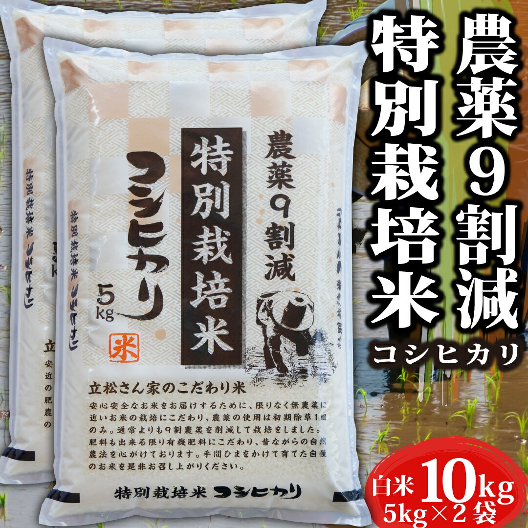 特別栽培米 米 10kg 令和5年産 コシヒ