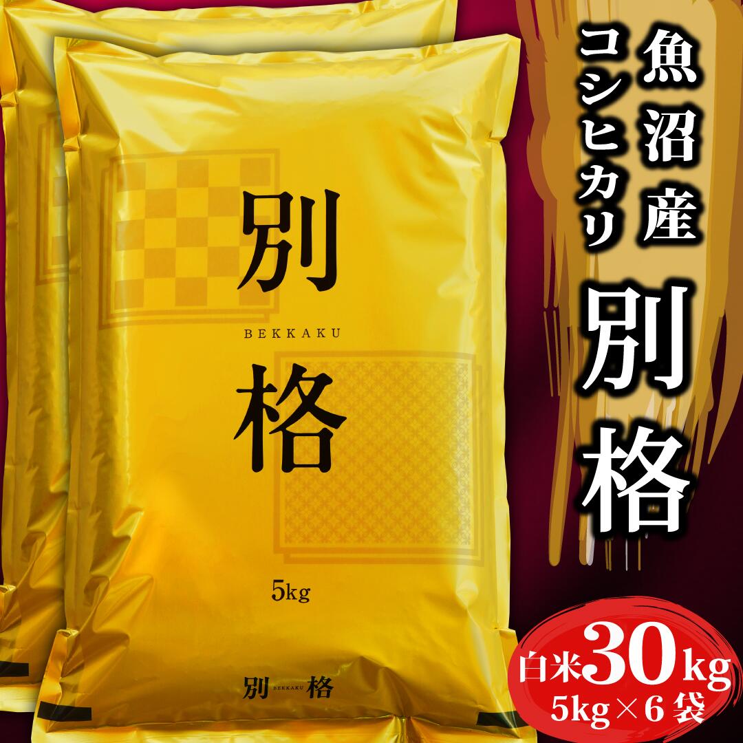 米 令和7年 コシヒカリ30kg 「 別格 」 新潟県 魚沼産 お米 白米 30キロ 令和7年産 魚沼産コシヒカリ 新潟県産コシヒカリ こしひかり 有機室肥料栽培 農薬節減 天日干し 魚沼 新潟県魚沼産 棚田米 精米 おこめ komenouka-10000097 農家からの贈り物 楽天市場店 パッケージ画像