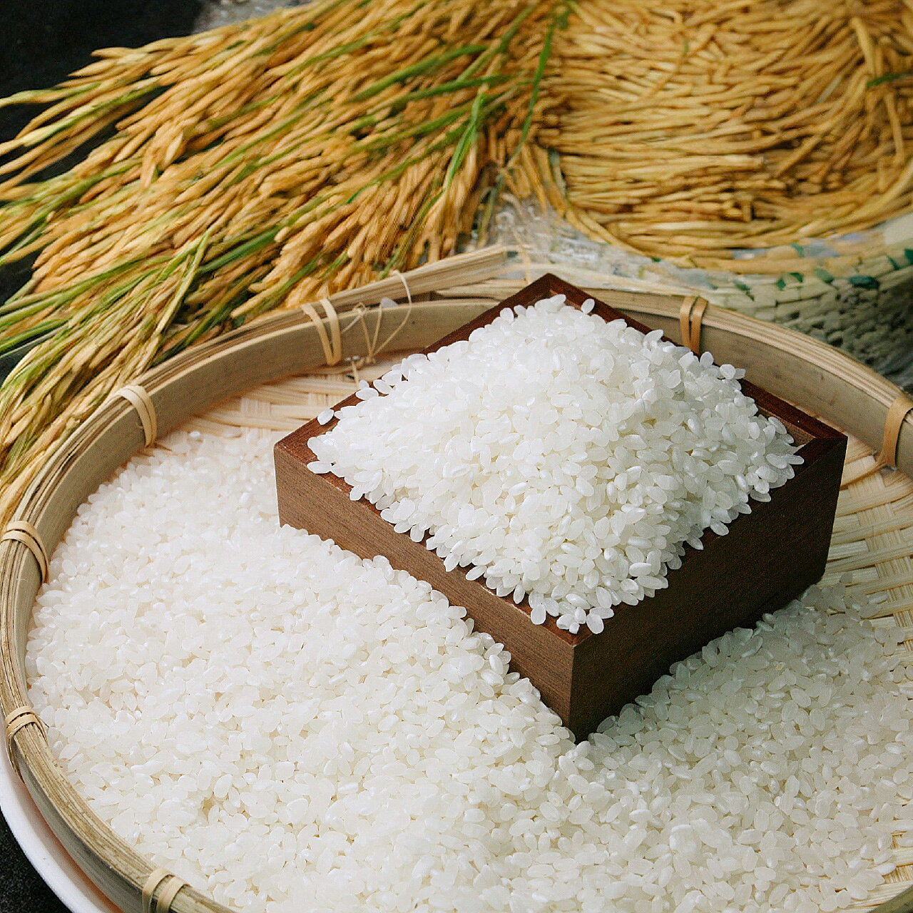 令和7年産 北海道産 ゆめぴりか 5kg～20kg 吟選米紀行 五ツ星お米マイスター 厳選 新潟からお届け komenoya-10000003 コメノヤ新潟 サンプル画像2
