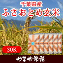 千葉県産 ふさおとめ玄米 30Kお米【選べる搗き方 白米・ハ...
