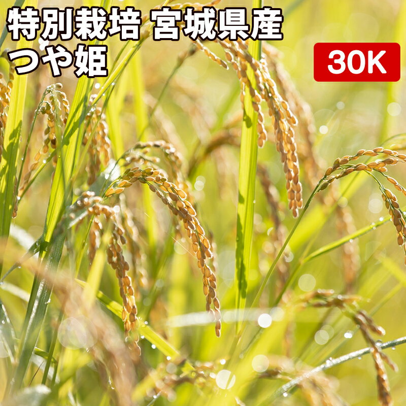 【減農薬 特別栽培米】 宮城県産 つや姫 玄米 30kg（5kg×6袋）令和3年産 【送料無料 精米無料 真空パック無料】【7種から選べる無料精米】極上 カレー 牛丼 親子丼 うな重 卵かけご飯 お米 お粥 味噌汁 日本食 和食 洋食