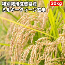 特別栽培滋賀県産ミルキークィーン玄米30K