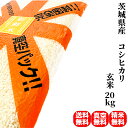 【10%OFFクーポン発行中】米 20kg 一等米 特A 茨城県産 コシヒカリ 玄米 (5kg×真空パック4袋) 令和6年産 送料無料 精米無料 真空パック無料...