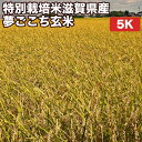 米5kg一等米夢ごこち滋賀県産玄米...