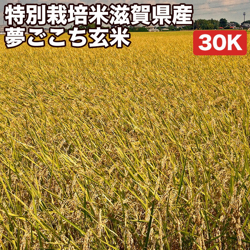 【滋賀県のお土産】米・雑穀