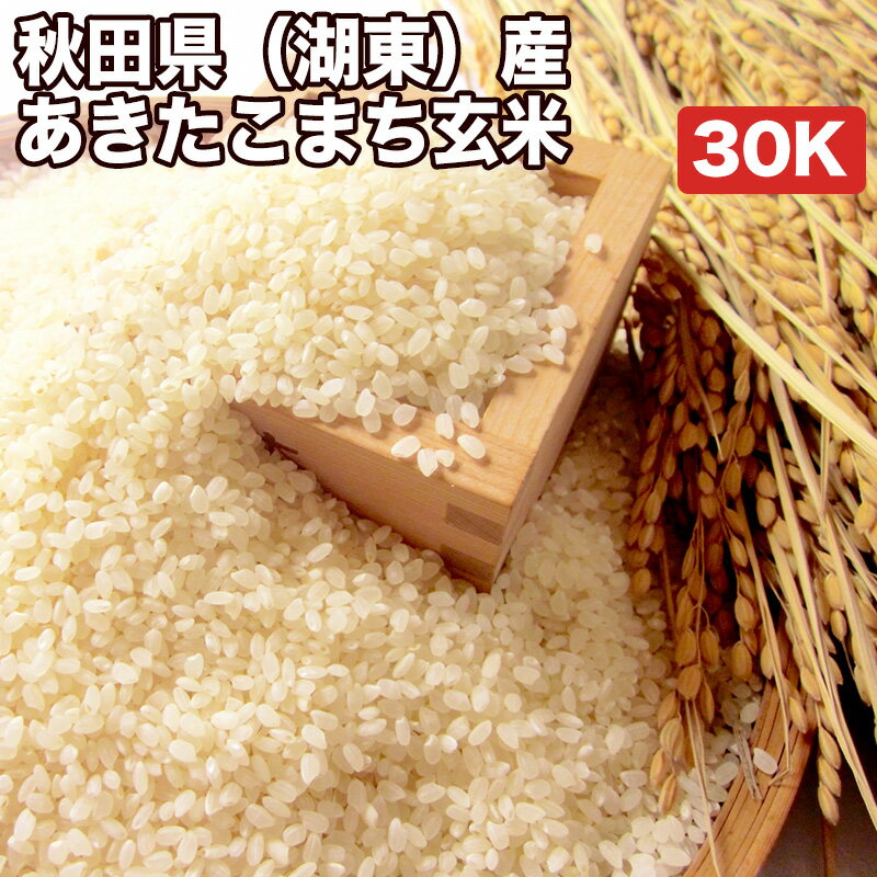 秋田県 湖東産 あきたこまち 玄米 30kg（5kg×6袋）令和4年産【送料無料 精米無料 真空パック無料】【7種から選べる無料精米】厳選 極上 カレー 牛丼 親子丼 うな重 TKG 卵かけご飯 お米 お粥 日本食 和食 料亭 洋食 備蓄 米