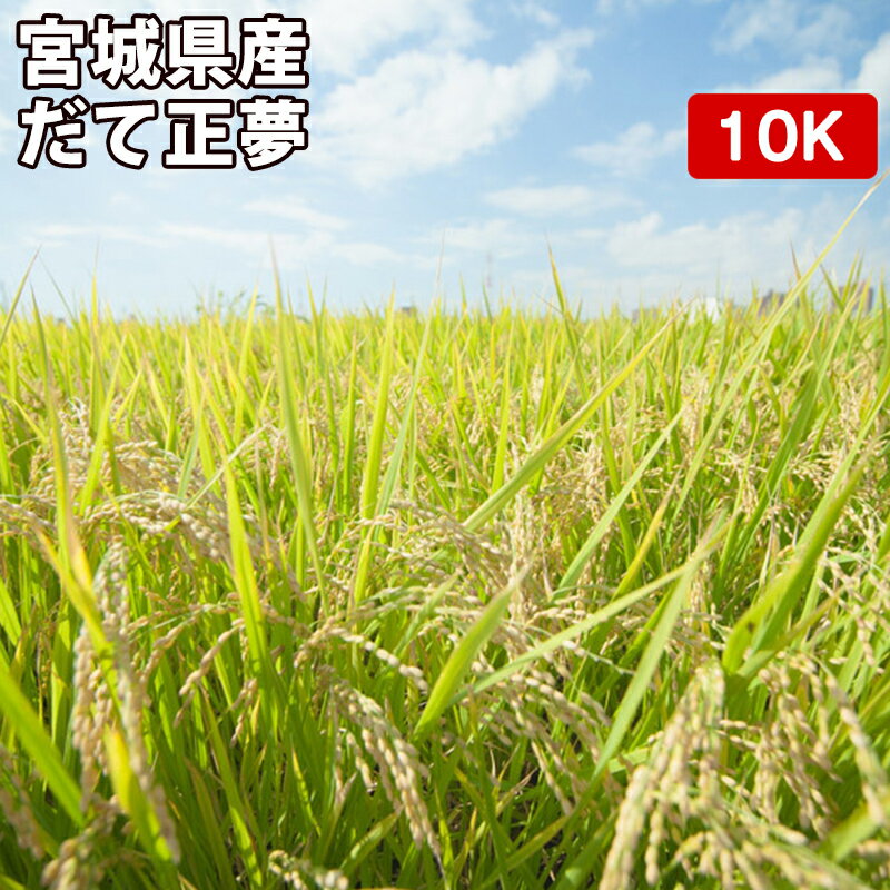 【10%FFスーパーSALE】宮城県産 だて正夢 10kgお米【選べる搗き方 白米・...