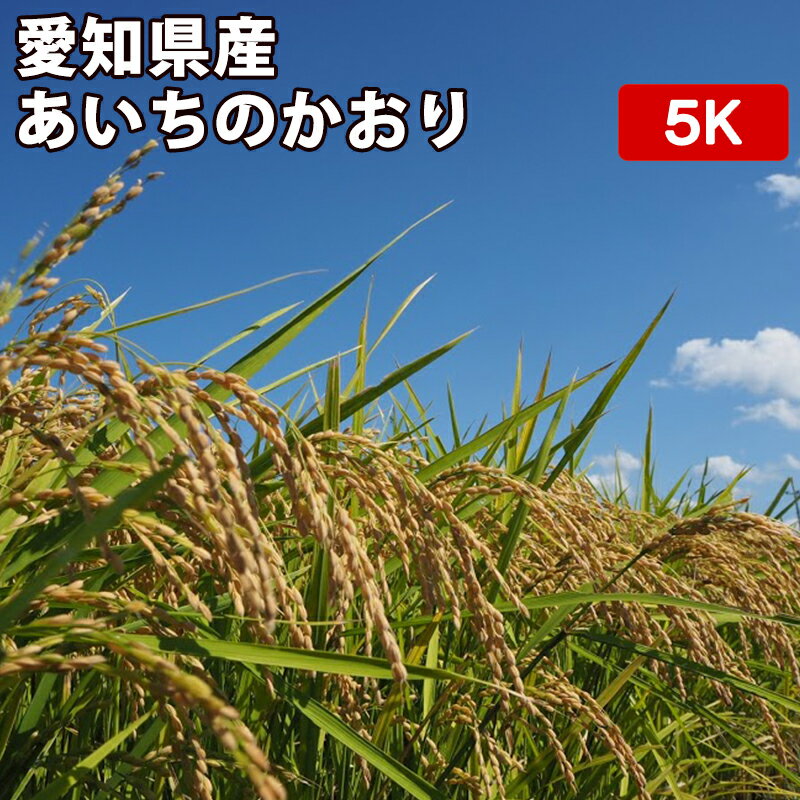 愛知県産 あいちのかおり 5kgお米【選べる搗き方 白米・ハイガ米・玄米・8分つきな...