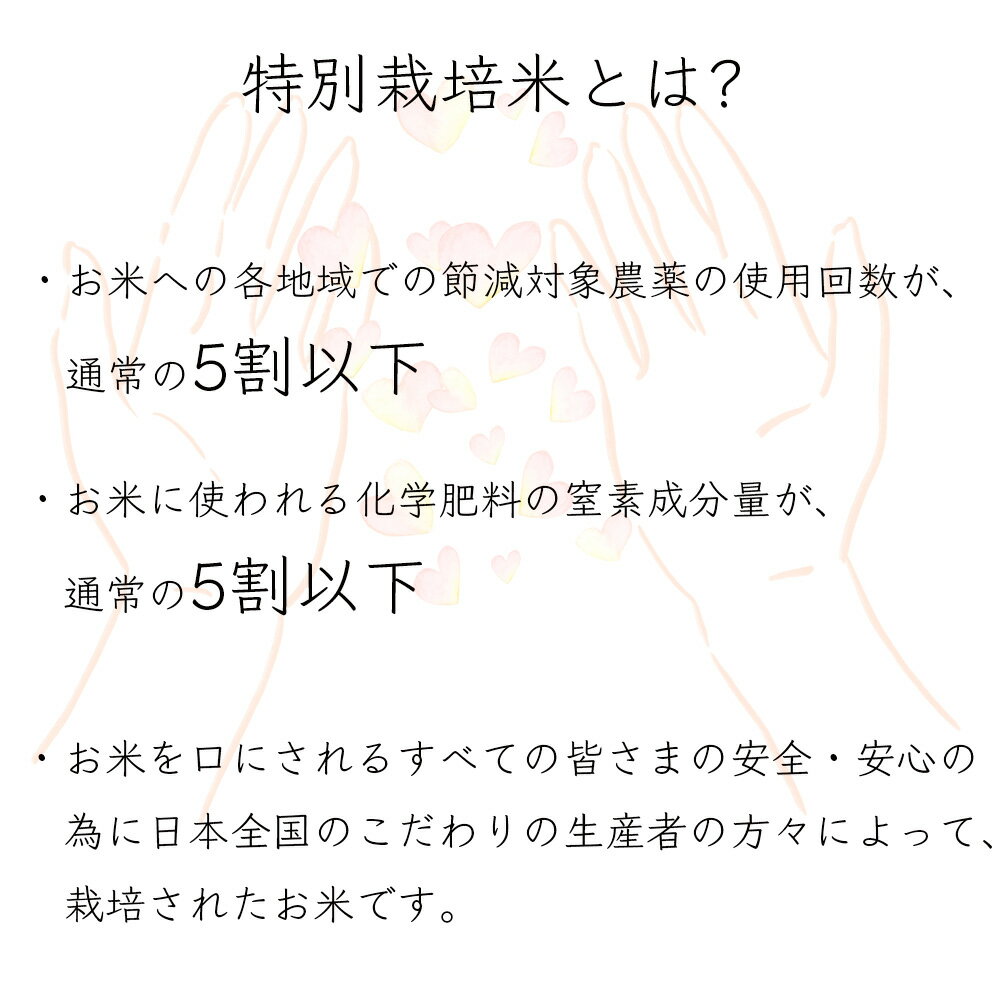 【減農薬 特別栽培米】 宮城県産 つや姫 玄米 30kg（5kg×6袋）令和3年産 【送料無料 精米無料 真空パック無料】【7種から選べる無料精米】極上 カレー 牛丼 親子丼 うな重 卵かけご飯 お米 お粥 味噌汁 日本食 和食 洋食