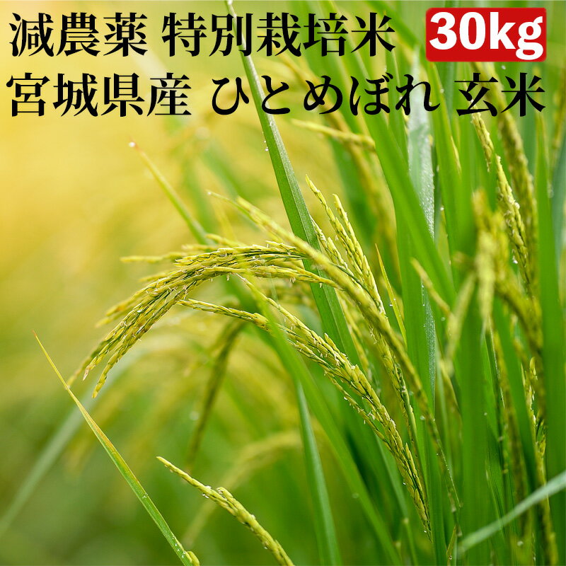 宮城産 ひとめぼれ 【10％OFFクーポン発行中】【減農薬 特別栽培米 農薬5割減 化学肥料5割減】米 30kg 一等米 ひとめぼれ 宮城県産 玄米（5kg×真空パック6袋）令和5年産【送料無料 精米無料 真空パック無料】7種類から選べる精米 真空パック(特許取得済み)で3年〜5年の長期保存が可能