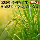【10%OFFクーポン発行中!】【減農薬 特別栽培米 農薬5割減 化学肥料5割減】米 10kg 一等米 ひとめぼれ 宮城県産 玄米(5kg×真空パック2袋)令和...