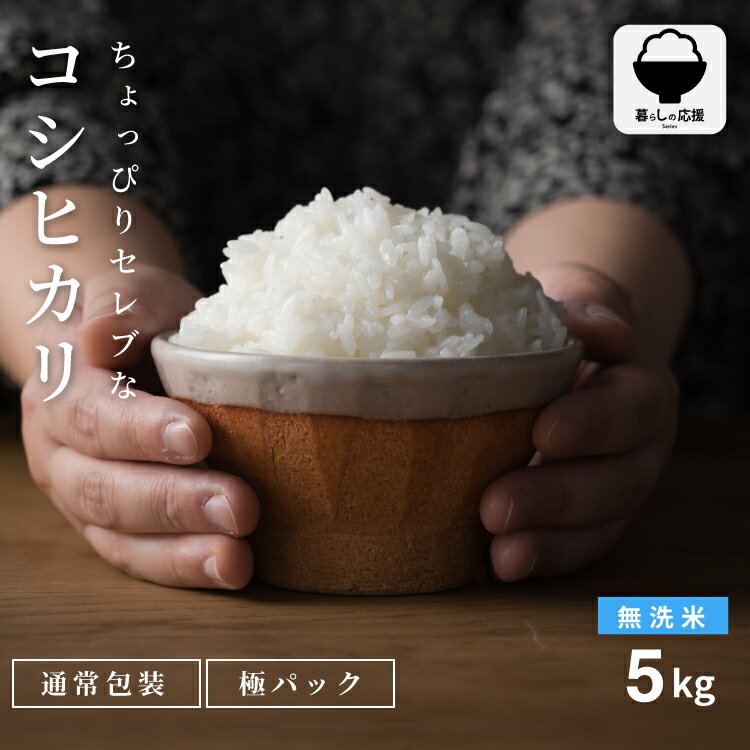 米 5kg 送料無料 無洗米 国内産 ちょっぴりセレブなコシヒカリ 令和7年産 コシヒカリ 5kg 米5キロ 送料無料 お米 5kg お米 備蓄用 非常用