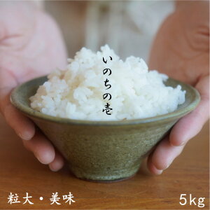 いのちの壱 令和6年産 5kg【送料無料】 ご贈答に! 新潟県産 お米ギフト お中元 御中元 お歳暮 御歳暮