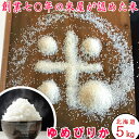 北海道産 ゆめぴりか 5kg 送料無料 令和5年産 お歳暮 ギフト おいしいお米 北海道産No.1 ランキング 食味 人気【あす楽】【RCP】【楽ギフ_包装】 お中元 ママ割