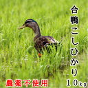 あいがも 農法 送料無料 特別栽培米 令和元年産 2019年産 茨城県産 コシヒカリ 無農薬 米 10kg ( 5kgX2個 )安心 安全 お歳暮 ギフト お中元 アイガモ/米/有機肥料/栽培期間中農薬不使用 ギフト ママ割