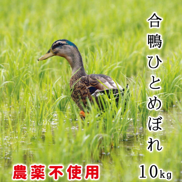 あいがも 農法 送料無料 特別栽培米 令和5年産 宮城県産 ひとめぼれ 無農薬 米 10kg ( 5kgX2個 ) 玄米 白米 安心 安全 お中元 お歳暮 ギフト アイガモ/米/有機肥料/栽培期間中農薬不使用 ギフト