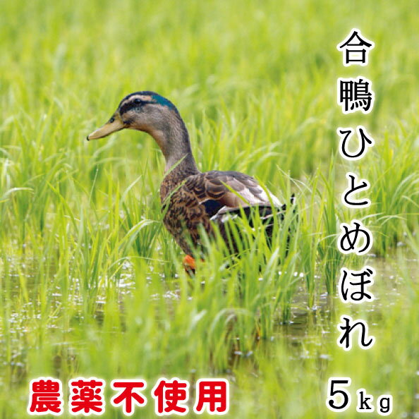 宮城産 ひとめぼれ あいがも 農法 合鴨 送料無料 特別栽培米 無農薬 令和5年産 宮城県産 ひとめぼれ 5kg 米 安心 安全【お中元】【お中元】有機肥料 合鴨農法 栽培期間中農薬不使用 玄米 白米 ママ割