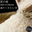 熊本県産 森のくまさん 10kg ( 5kg x 2個 )【送料無料】特A受賞 令和5年産 【あす楽】森のくまさん【お中元】【お歳暮】お米 もりのくまさん
ITEMPRICE