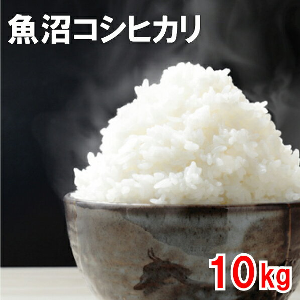 魚沼産コシヒカリ 送料無料 令和5年産 10kg（5kgX2個）【あす楽】 米 お歳暮 お中元 おいしいお米 ランキング 食味 人気 敬老の日 ギフト