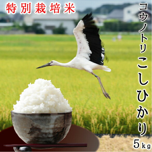 新米 兵庫県産 コシヒカリ 特別栽培米 農薬7.5割減 減農薬 令和元年産（2019...