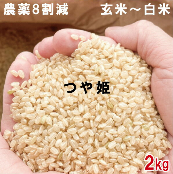 楽天市場】山形県産 つや姫 1等米の通販 楽天市場】山形県産 つや姫 1等米の通販