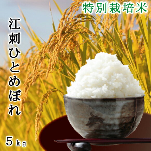 米繁 お米 江刺ひとめぼれ 特別栽培米 令和5年産 岩手県産 減農薬 5kg 【あす楽】安心 安全/お歳暮/お中元/米/有機肥料/栽培期間中化学肥料不使用 敬老の日 ギフト