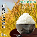 新米 江刺ひとめぼれ 特別栽培米 令和元年産（2019年） 岩手県産 減農薬 5kg 【あす楽】安心 安全/お歳暮/お中元/米/有機肥料/栽培期間中化学肥料不使用 敬老の日 ギフト