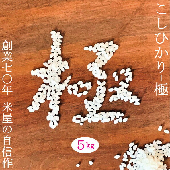 米繁 お米 こしひかり 極 当店オリジナル こだわり お米 令和5年産 5kg 新潟県 コシヒカリ 魚沼産 栃尾産 岩船産 一等米 白米 精米 送料無料 お中元 お歳暮 ギフト