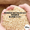 無農薬 玄米 米 農薬9割減 富山県産 コシヒカリ 特別優秀賞受賞 10kg (5kgX2個入り) 特別栽培米 令和5年産 送料無料 安心 安全【お歳暮】【お中元】有機肥料 栽培期間中農薬不使用 玄米 〜 白米 分つき精米 ママ割 お米