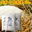 令和2年産 新米 魚沼産コシヒカリ 30Kg 【本州地区送料無料】 新潟県認証特別栽培米 お米 10キロ×3袋 のし対応 ギフト 贈答用