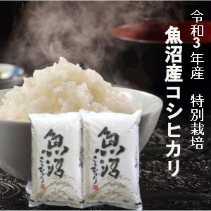 令和3年産 新米 予約販売 魚沼産コシヒカリ 10kg 新潟 こしひかり 魚沼 新潟産 コシヒカリ 10キロ 魚沼コシヒカリ 新潟県産コシヒカリ お米 白米 新潟米 美味しい のし対応 内祝い お祝い 出産 挨拶 プレゼント 贈答用 ギフト米 仕送り