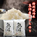 【予約】令和7年産 新米 新潟コシヒカリ 4kg 新潟米 コシヒカリ 魚沼産コシヒカリ 魚沼産こしひかり 新潟県魚沼産コシヒカリ 米 精米 こしひかり 新潟県産...