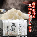 【予約】令和7年産 新米 魚沼産コシヒカリ 2キロ 5袋 10kg 新潟県産 新潟産 新潟 魚沼 魚沼こしひかり こしひかり 魚沼 白米 10キロ お米 新潟米...